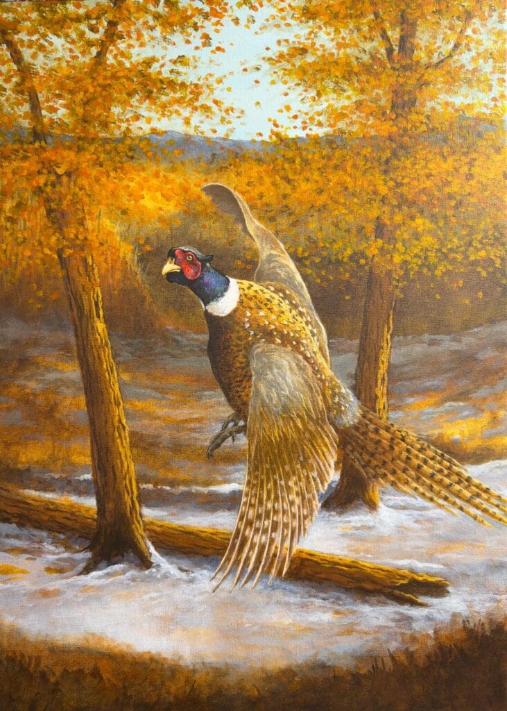 Pheasant painting (1)