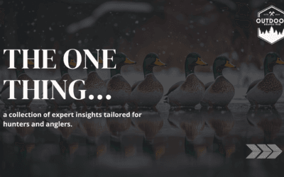 The One Thing You Should Never Overlook in Your Spread, According to a Decoy Expert