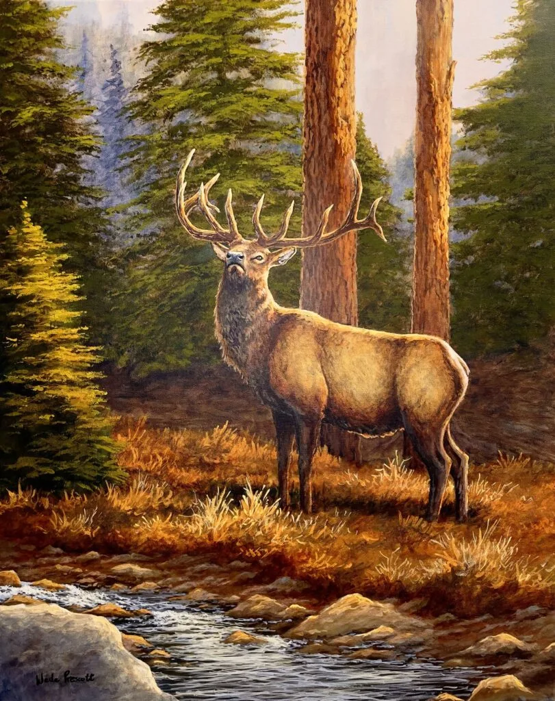 red pine bull