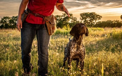 Standing Stone Kennels: Where World-Class Gun Dog Training Meets Passionate Hunting Heritage