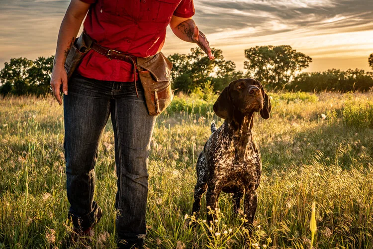 Standing Stone Kennels offers several step-by-step dog training programs designed to train versatile dogs from 8 weeks old to a year old but can be modified for older dogs. It is geared towards pointing, retrieving, and flushing breeds and will incorporate retrieving as well as flushing.
