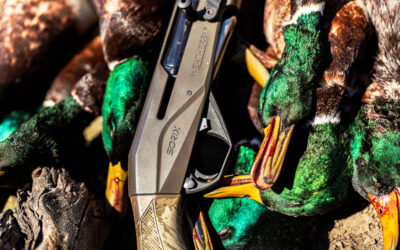Weatherby SORIX Review – Features, Performance & Why It’s a Must-Have